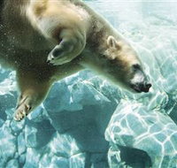 Australia's Sea World - Accommodation Cairns