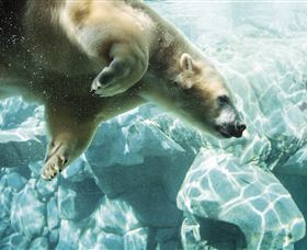 Australia's Sea World - Accommodation Cairns 0
