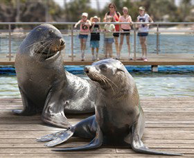 Australia's Sea World - Accommodation Cairns 1