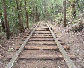 Kerewong State Forest - Accommodation Cairns 1