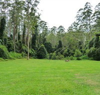 Kerewong State Forest - Accommodation Cairns