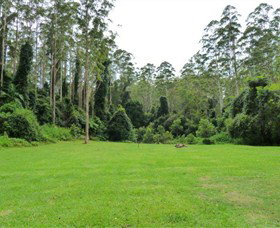 Kerewong State Forest - Accommodation Cairns 0