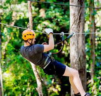 TreeTop Challenge Currumbin - Accommodation Cairns