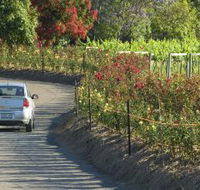 Cassegrain Wines - Accommodation Cairns
