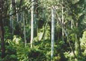 Lind National Park - Accommodation Cairns 0
