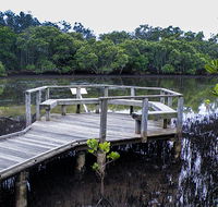 Walk on Water walking track - Accommodation Cairns