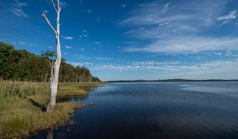 Lake Innes Nature Reserve - Accommodation Cairns 0
