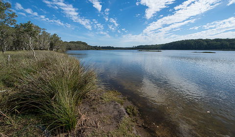 Lake Innes Nature Reserve - Accommodation Cairns 1
