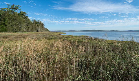 Lake Innes Nature Reserve - Accommodation Cairns 3