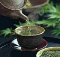 World Par-TEA - Accommodation Cairns