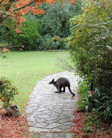 Narek Galleries - Accommodation Cairns 2