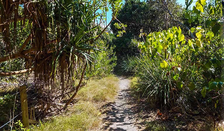 New Brighton NSW Accommodation Cairns