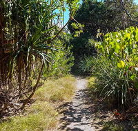 North Head walking track - Accommodation Cairns