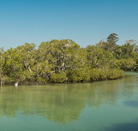 Tyagarah Nature Reserve - Accommodation Cairns