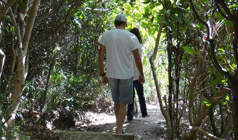 Three Sisters Walking Track - Accommodation Cairns 0