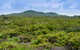 Arakwal National Park - thumb 1