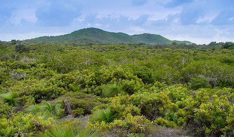 Arakwal National Park - Accommodation Cairns 1