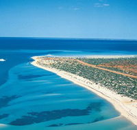 Monkey Mia - Accommodation Cairns