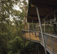Tarkine Forest Adventures - Dismal Swamp - Accommodation Cairns