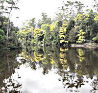 Arthur River - Accommodation Cairns