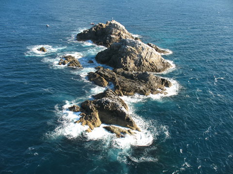 Cape Byron Marine Park - Accommodation Cairns 1