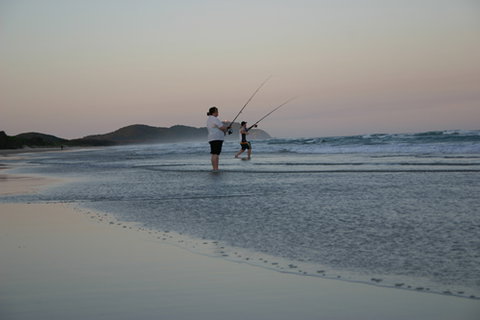 Cape Byron Marine Park - Accommodation Cairns 2