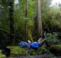 The Tarkine Drive - Accommodation Cairns