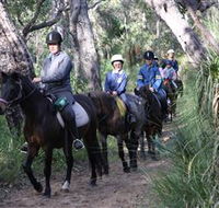Mirravale Horse Riding School - Accommodation Cairns