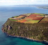 Table Cape - Accommodation Cairns