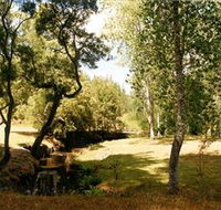 Oldina Picnic Area - Accommodation Cairns