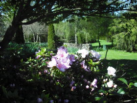 Annsleigh Gardens And Cafe - Accommodation Cairns 3