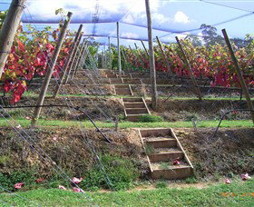 Motton Terraces - Accommodation Cairns 2