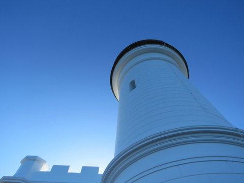 Vision Walks Eco Tours - Accommodation Cairns 13