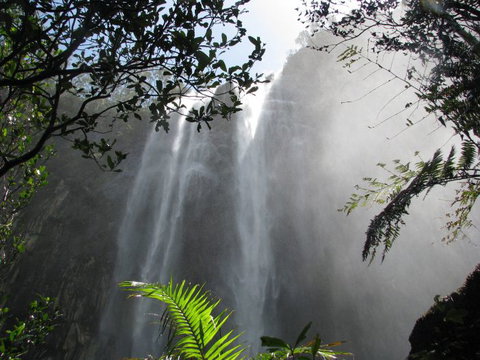 Vision Walks Eco Tours - Accommodation Cairns 19