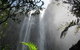 Vision Walks Eco Tours - thumb 22