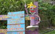 Vision Walks Eco Tours - thumb 27