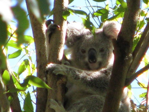 Vision Walks Eco Tours - Accommodation Cairns 32