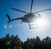 Tall Timbers Adventure Tours - Accommodation Cairns