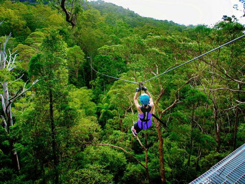 Canyon Flyer - Accommodation Cairns 3