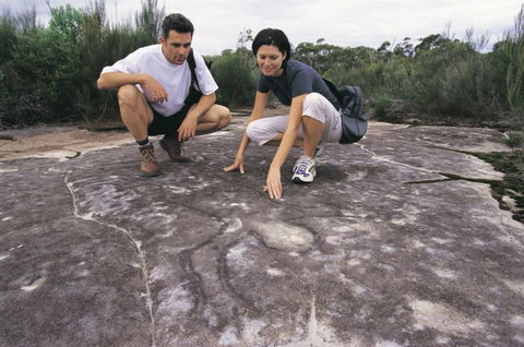Sydney Coast Walks - Accommodation Cairns 2