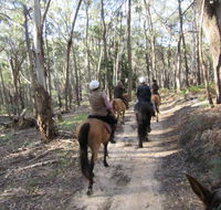 Silver Brumby Trails - Accommodation Cairns