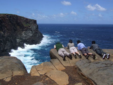 Out Of Sight Tours - Accommodation Cairns 0