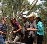 Echidna Walkabout Nature Tours - Accommodation Cairns