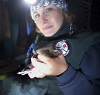 Naturewise at Tidbinbilla - Accommodation Cairns