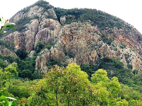 Mount Greville Track - Accommodation Cairns 1