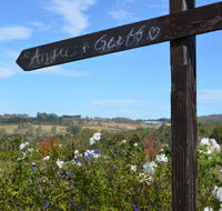 Silver Compass Tours - Accommodation Cairns