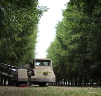 ODempseys Charters and Tours - Accommodation Cairns