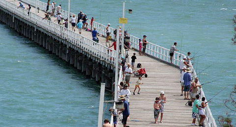 Fraser Coast Amazing Fishing Trails - Accommodation Cairns 24
