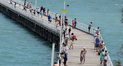 Fraser Coast Amazing Fishing Trails - Accommodation Cairns 27