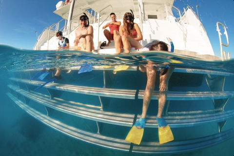 Australian Sunset Safaris - Accommodation Cairns 2